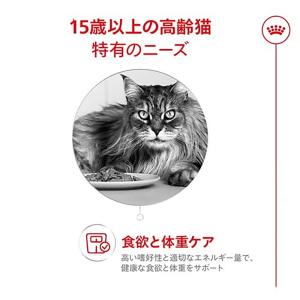 【85g×12袋】ロイヤルカナン FHN-WE...の詳細画像1