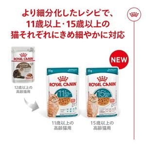 【85g×12袋】ロイヤルカナン FHN-WE...の詳細画像4
