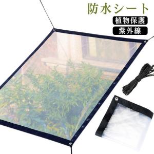 [2*1m] 屋外 防風 透明 ロープ付き 折り...の商品画像