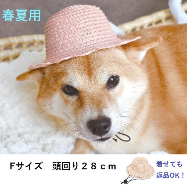 犬 帽子 おしゃれ 犬服 ペット用品 アクセサリー ペットクイーン マカロンハット