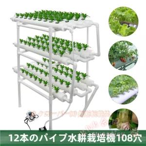 水耕栽培キット 室内 家庭菜園 ベランダ 植物 ...の商品画像