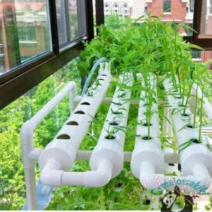 水耕栽培キット 室内 家庭菜園 ベランダ 植物...の詳細画像2