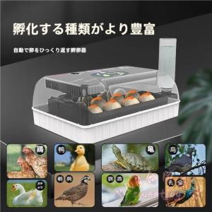 自動孵卵器 12個入 自動転卵 温度制御 KNK(株) 鶏 ウズラ あひる対応 照卵器付 湿度保持 インキュベーター ふ卵器 大容量 家庭用 飼育サポート