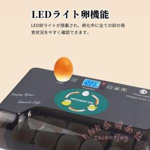 自動孵卵器 12個入 自動転卵 温度制御 KN...の詳細画像1
