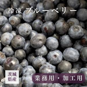 国産 冷凍ブルーベリー 加工用 業務用 農薬不使用 5kg 茨城県 冷凍 フルーツ 果物 ブルーベリー