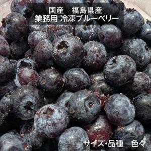 国産 冷凍ブルーベリー 加工用 業務用 農薬不使用 5.6kg 福島県 冷凍 フルーツ 果物 ブルーベリー