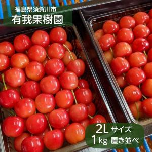 さくらんぼ 【有我果樹園】 佐藤錦 紅秀峰 紅てまり どれか1品種 1kg 2L 置き並べ 贈答用 プレゼント 福島県須賀川市 《6/中旬〜6/下旬の出荷》