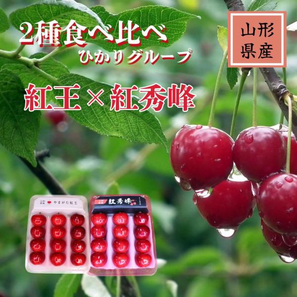 さくらんぼ 【ひかりグループ】 食べ比べ 紅王 紅秀峰 3L 12粒ずつ  山形県《6/中旬〜6/下...