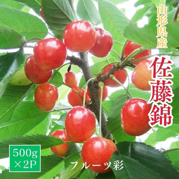 さくらんぼ 【フルーツ彩】 佐藤錦 500g×2P 1kg ML 山形県上山市  《6/中旬〜6/下...