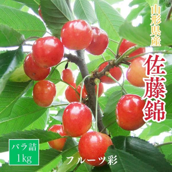さくらんぼ 【フルーツ彩】 佐藤錦 1kg バラ ML 山形県上山市  《6/中旬〜6/下旬の出荷》