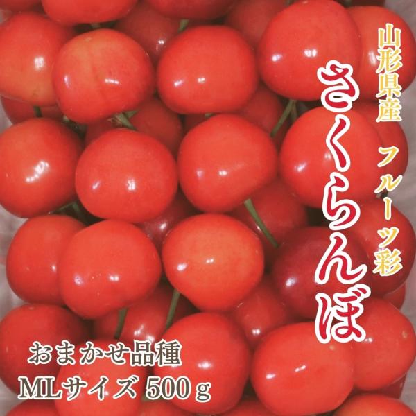 さくらんぼ 【フルーツ彩】 品種おまかせ 500g ML 山形県上山市  《6/上旬〜6/中旬の出荷...