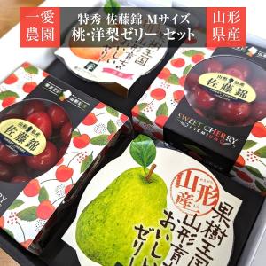 さくらんぼ 【一愛農園】 佐藤錦 M 特秀 100g×2 & 山形産フルーツゼリー 贈答用 母の日 父の日 山形県東根市 《4/上旬〜4/中旬より出荷》