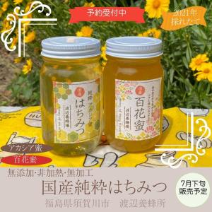 【渡辺養蜂場】天然の純粋蜂蜜　アカシア・百花蜜　300ｇ×２本入り 福島県｜sweetjuicyparadise