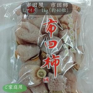 干し柿 【市田屋】 市田柿 L 1kg 約40粒 ご家庭用 長野県 高森町 《12/15頃〜下旬より出荷》