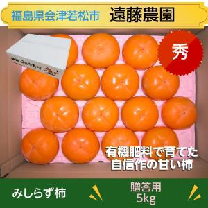 柿 【遠藤農園】みしらず柿 御山柿 5kg L 20個 秀 贈答用 福島県会津 《11/下旬〜12/上旬出荷》