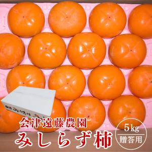 柿 【会津遠藤農園】みしらず柿 御山柿 5kg 2L〜4L 14〜18個 秀 福島県会津 《11/下旬〜12/中旬出荷》