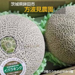 メロン 【方波見農園】 むつみレッド イバラキング クインシー どれか1種 3L以上 2玉 贈答用 茨城県鉾田市 母の日 父の日 《4/下旬〜5/上旬より出荷》