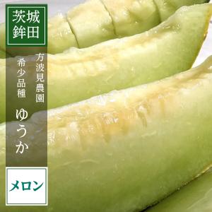 メロン 【方波見農園】 ゆうか 優香 3L以上 2玉 2.4~3.6kg以上 糖度16度以上 贈答用 茨城県鉾田市 《6/上旬〜6/中旬より出荷》