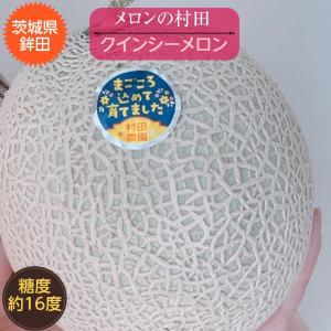 メロン 【メロンの村田】 クインシーメロン 2玉 3L〜4L 糖度16前後 贈答用 父の日 茨城県鉾田市 《5/下旬〜6/上旬より出荷》