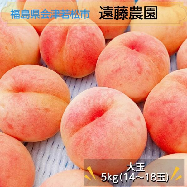 桃 【遠藤農園】 もも 5kg 大玉 12〜18個 品種色々 贈答 福島県 会津 《7/下旬〜8/上...