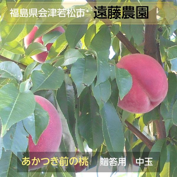 桃 【遠藤農園】 もも  5kg 20〜22個 7月の桃 昂紀 夏雄美 福島県 会津 《7/中旬〜出...