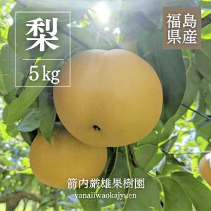 梨 【箭内厳雄果樹園】 家庭用 1種 5kg 8〜11個 福島県須賀川市《11/上旬〜11/中旬より出荷》
