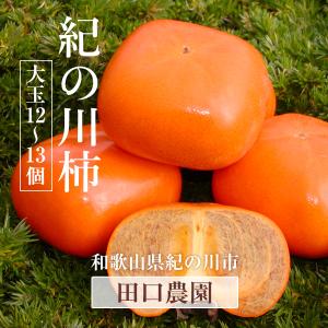 柿 【田口農園】 紀ノ川柿 紀の川柿 3.75kg 12〜13個 大玉 贈答用 和歌山県紀の川市 《10/中旬〜10/下旬より出荷》