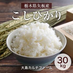 米 【大島カルチファーム】 こしひかり 玄米30kg 白米精米可能 令和7年産 《2025年10/中旬より出荷》