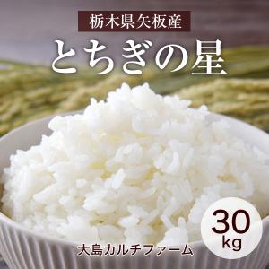 米 【大島カルチファーム】 とちぎの星 玄米30kg 白米精米可能 令和7年産 《2025年10/中旬より出荷》