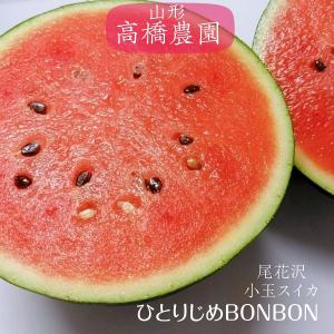 スイカ 小玉スイカ 【高橋農園】ひとりじめBONBON ２玉 4〜5kg 秀 尾花沢 贈答用 山形県  ひとりじめボンボン《7/中旬〜7/下旬より出荷》