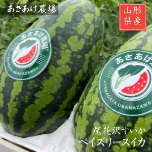 富山県産 すいか ”入善ジャンボ西瓜” 秀品 1玉 約15〜20kg以上【予約 7
