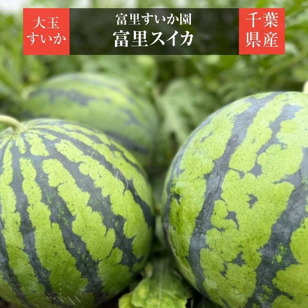 スイカ 【富里すいか園】 富里スイカ L〜2L 6〜8kg 1個 千葉県富里市 父の日 《5/中旬〜...