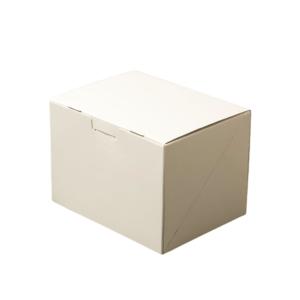 ロックBOX105-ホワイト 25枚 パッケージ中澤 ケーキ箱・取手なし