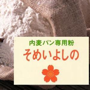 鳥越 国産パン用強力粉 そめいよしの 2.5kg(常温)(小分け)