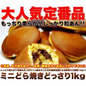 どら焼き ミニ もっちり粒あん 1kg 訳あり 業務用 個包装 お菓子 スイーツ あんこ 常温商品