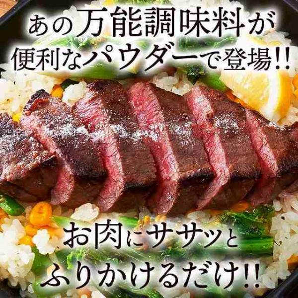 手軽に使える粉末タイプ 万能調味料  食材をもっと美味しく柔らかく 塩麹パウダー150g 粉末 米麹...