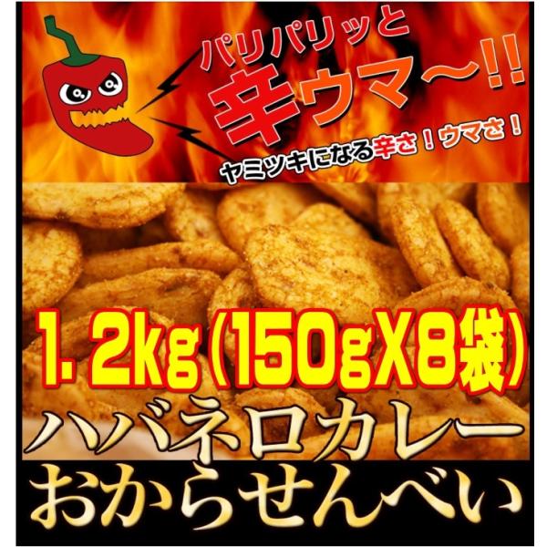 ハバネロカレー おから煎餅 1.2Kg (150gx8袋）お買い得 訳あり スイーツ お菓子 カレー...