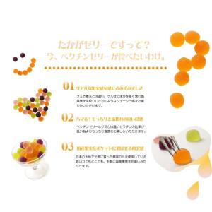4種の国産果実の話題のペクチンゼリーフルーツき...の詳細画像3