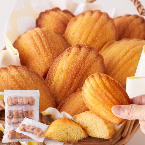 訳あり マドレーヌ 国産 無添加 1kg クッキー 焼き菓子  常温商品