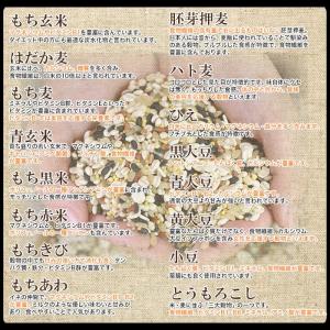 原材料は全て国産。添加物も一切不使用!!やさし...の詳細画像2