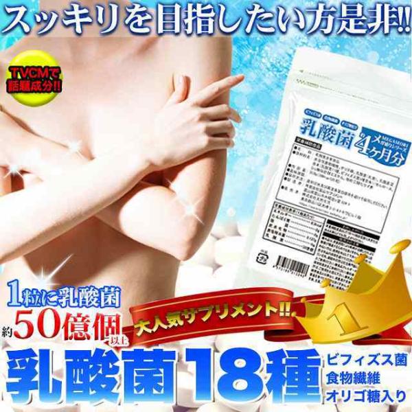 乳酸菌 サプリメント 120粒/約4か月分 (10524)/乳酸菌 サプリ 国産 菌活 ビフィズス菌...