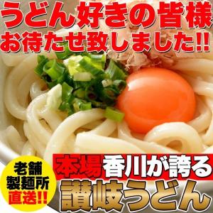 鎌田醤油特製ダシ醤油6袋付き!!讃岐うどん6食分600g（300g×2袋）送料無料｜sweets-oukoku