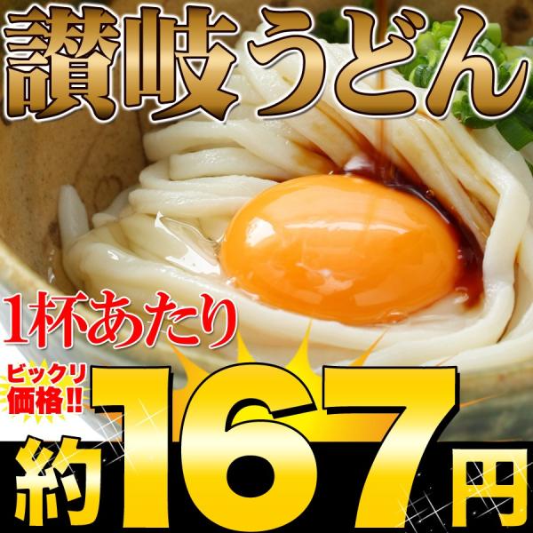 送料無料 讃岐うどん 鎌田醤油特製だし醤油 6袋付き 6食分 600g（300g×2袋） ポイント消...