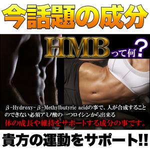 【送料無料(ゆうパケ)】HMB サプリメント(...の詳細画像2