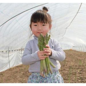 アスパラガス 北海道 富良野産 生で食べれる ...の詳細画像3
