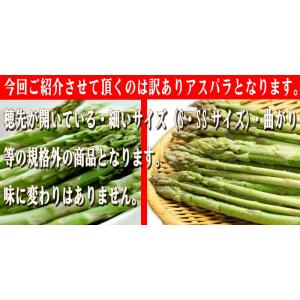 アスパラガス 北海道 グリーン アスパラ 訳あ...の詳細画像4
