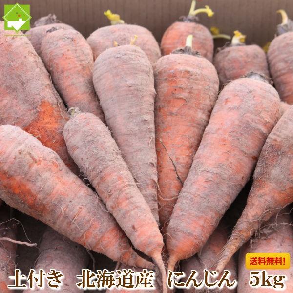にんじん 北海道産 訳あり 土付き 人参 5kg 送料無料　