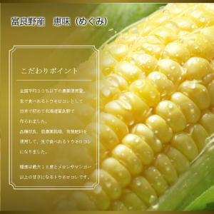 とうもろこし 訳あり 10本 恵味 Lサイズ ...の詳細画像2