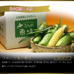 とうもろこし 訳あり 10本 恵味 Lサイズ ...の詳細画像3