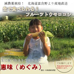とうもろこし 訳あり 10本 恵味 Lサイズ ...の詳細画像4